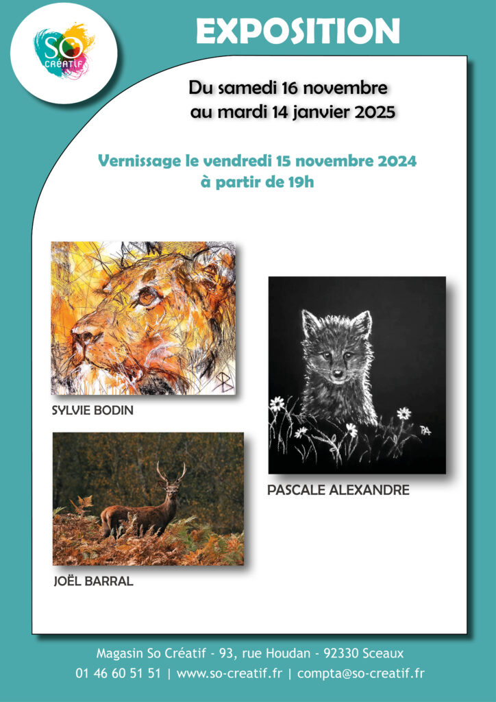 Exposition novembre 2024